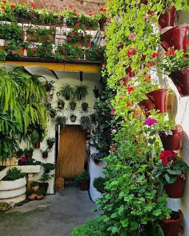 Photo de Casa Patio San Basilio 14