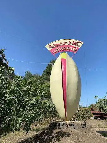 Photo de Giant pistachio