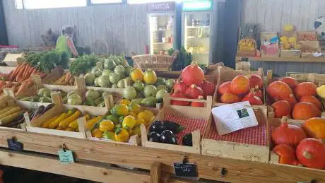 Photo de Les paniers de Sandrine