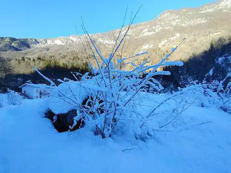Photo de Torrente Ciolesan