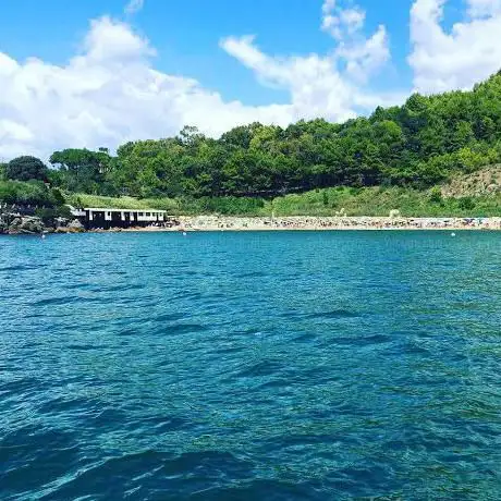 Photo de Mary Rock Beach Sassolini