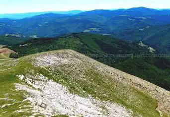 Photo de PIKATUA monte