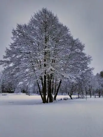 Photo de Plaine des sports de La Ponétie