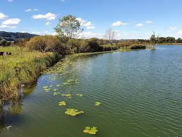 Moossee