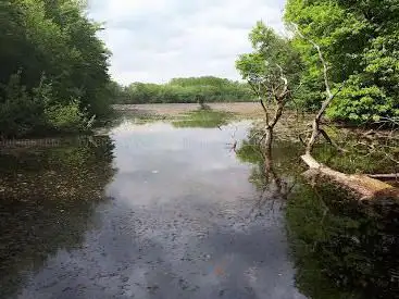 Photo de Espace Naturel Sensible de l'étang malseroud