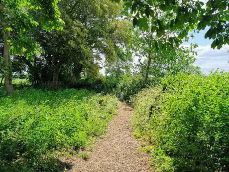 Photo de Broughton Pocket Park