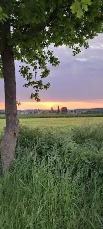 Photo de Honsberg uitkijkpost