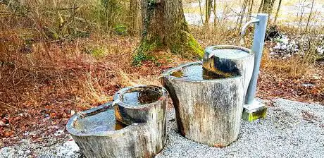 SchÃ¶ner Brunnen (1200 Jahre Oberuzwil 2019)