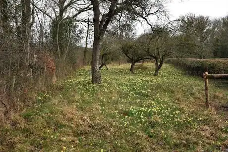 Photo de Gwen and Vera's Nature Reserve