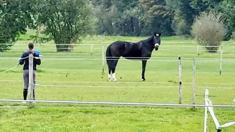 Reitanlage Neugut