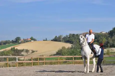 Photo de Il Lusitano