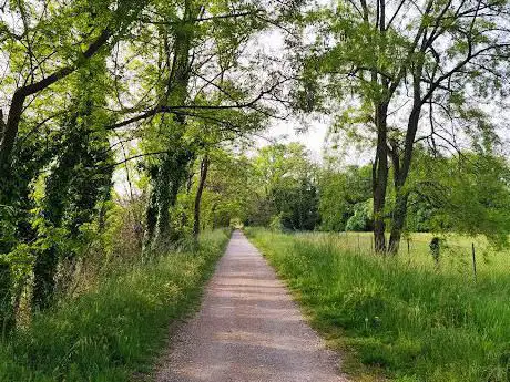 Photo de Camminata sull'argine