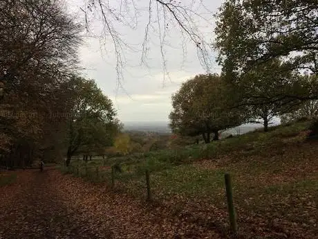Outwoods