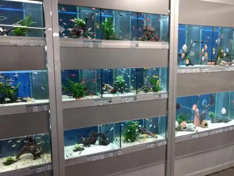 Photo de Aquarium-Profis e.U
