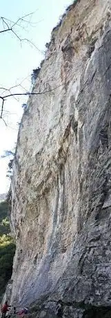 Erboristeria