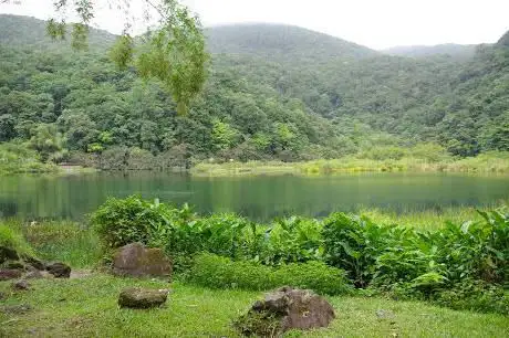 Grand Etang