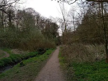 Photo de Conway Park Woods