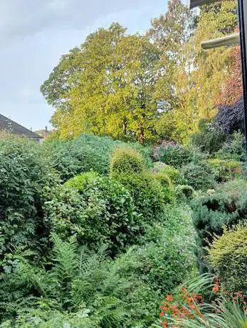 Barrowford Mint Avenue woodland garden