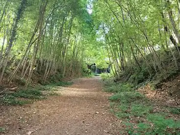 Photo de Nature Trail (Path of the old Petite Ceinture Railway)
