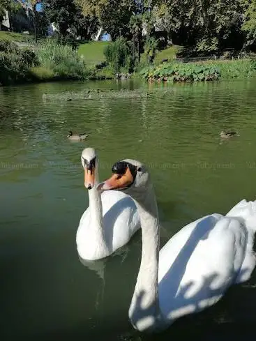 Photo de Parc de la Gayonne