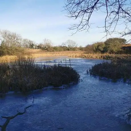 Photo de Hart to Haswell Walkway