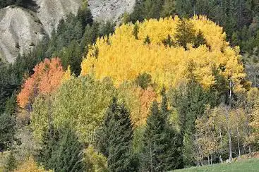 Photo de Saint Jean d'Arves
