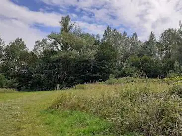 Photo de Steenbergse bossen