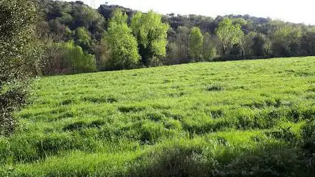 Photo de Font dels Enamorats (o Font de Sant Josep)