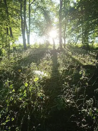 Photo de Taylor's Meadow