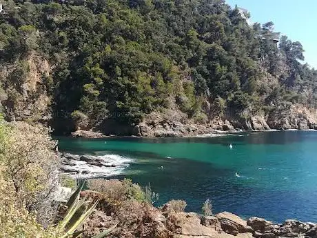 Photo de Visite des Calanques Cavalaire