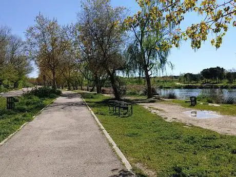 Photo de Butarque Park