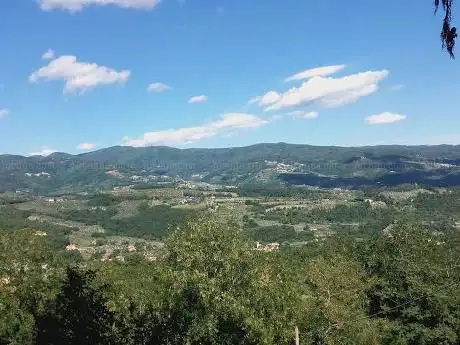 Photo de Chiesa di San Niccolò