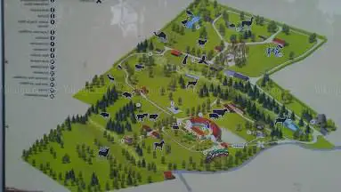 Wildpark Schwarzach
