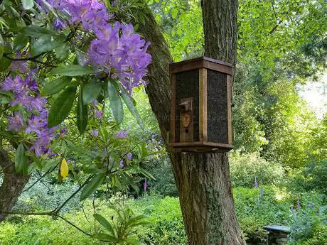 Just Bee Eco Hives