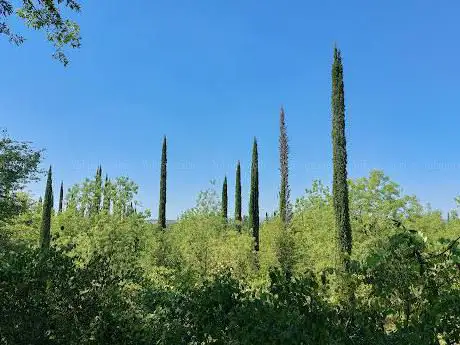Photo de I Viali di Stigliano-Montestigliano