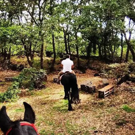 Photo de Horse Village A.S.D.E. sede di Ragalna