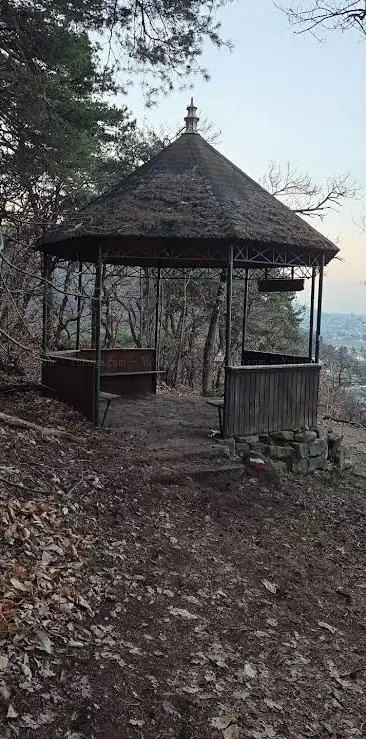 Photo de Meerspinnblick