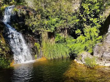 Fervenza das Fontes de Pedrafigueira