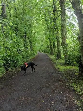 The Abbey Trail