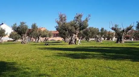 Photo de Castilla - La Mancha Park