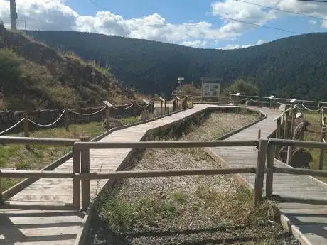 El jardí de Roques un passeig en el temps.