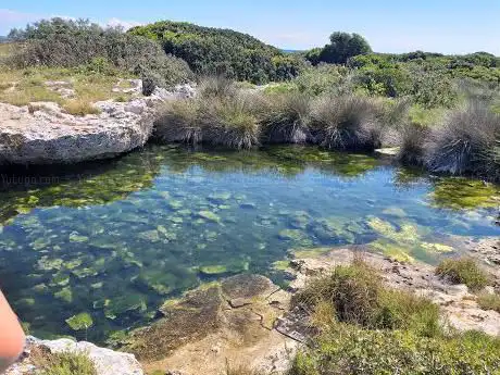 Marine Protected Area Porto Cesareo
