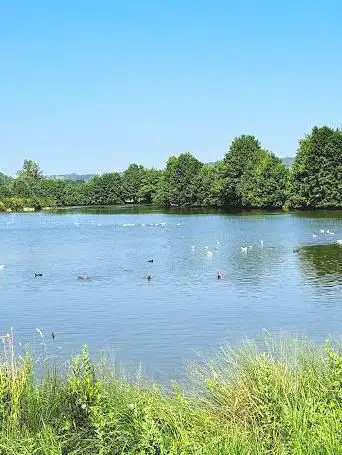 Photo de Parc naturel Du Marais