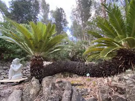 ORTO BOTANICO CORSINI