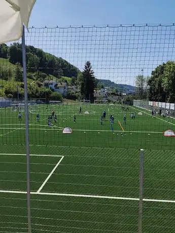 Sportplatz Cholenmoos