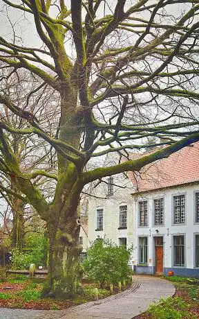 Tuin Site 's Gravenwinkel