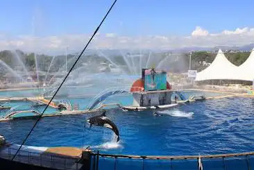 Marineland
