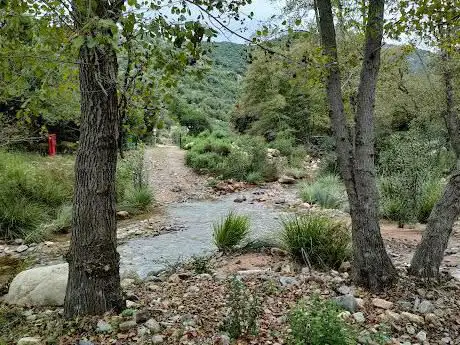 Riserva Naturale di Monte Arcosu