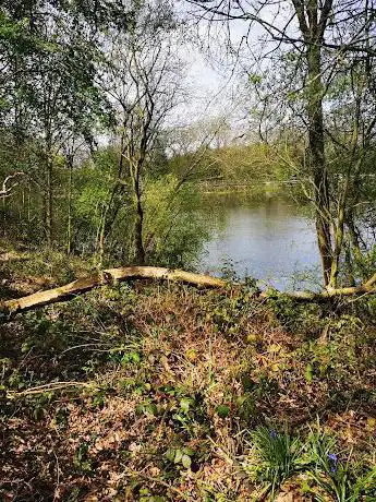 Photo de Mapperley Wood Nature Reserve