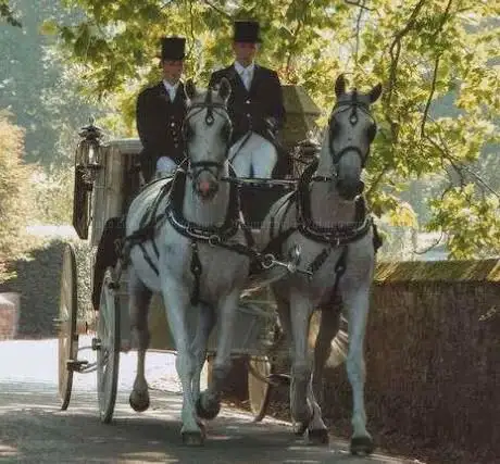 Benford Horse Drawn Carriages Ltd